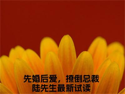 苏沐陆谨深(先婚后爱，撩倒总裁陆先生)抖音热推小说全集无删减,先婚后爱，撩倒总裁陆先生小说在线免费阅读大结局