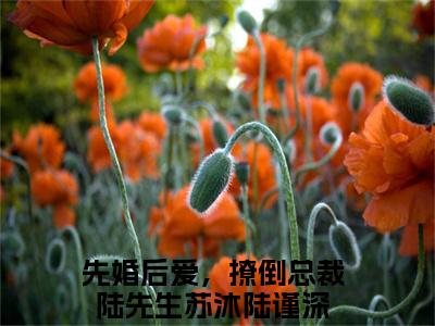 苏沐陆谨深（先婚后爱，撩倒总裁陆先生）知乎小说全文免费阅读_苏沐陆谨深最新章节小说免费阅读_笔趣阁先婚后爱，撩倒总裁陆先生