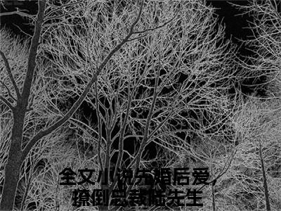 苏沐陆谨深（先婚后爱，撩倒总裁陆先生）全文阅读-2023最火热点小说苏沐陆谨深最新更新