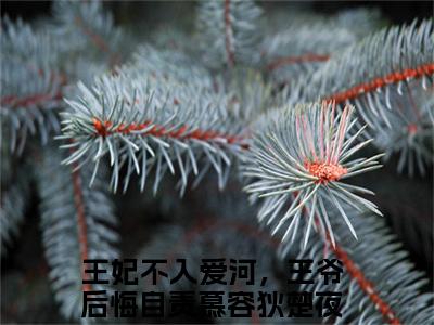 王妃不入爱河，王爷后悔自责全文免费阅读无弹窗大结局_（慕容狄楚夜寒阅读无弹窗）慕容狄楚夜寒最新章节列表_笔趣阁