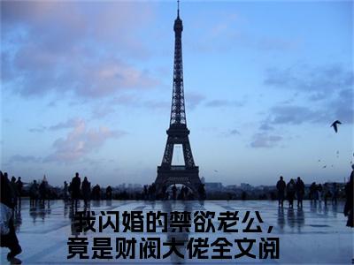 我闪婚的禁欲老公，竟是财阀大佬的小说全文免费阅读无弹窗,苏心沈醉的小说在线免费阅读大结局（苏心沈醉）