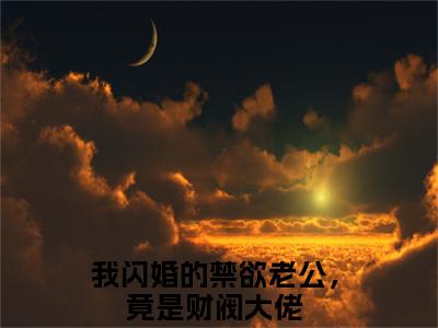 (苏心沈醉抖音小说)我闪婚的禁欲老公，竟是财阀大佬小说全文阅读免费