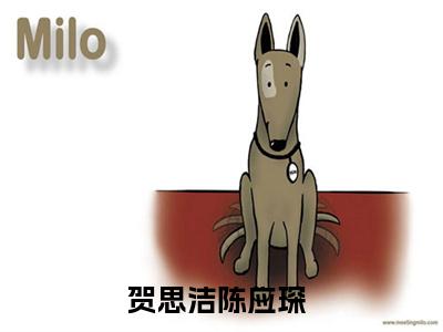 贺思洁陈应琛小说全文(贺思洁陈应琛)免费阅读全文无弹窗大结局_ 贺思洁陈应琛免费阅读无弹窗小说_笔趣阁