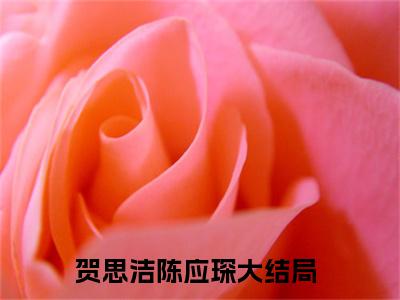 贺思洁陈应琛小说完整版阅读 贺思洁陈应琛呈全文在线赏析