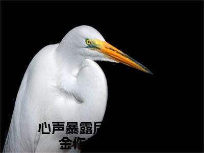 温颜司墨衍(心声暴露后，疯批千金作成小心肝）全文免费阅读无弹窗大结局_ 温颜司墨衍最新章节完整版阅读