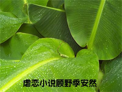顾野季安然正版小说全文阅读-小说推荐顾野季安然精彩章节全文阅读