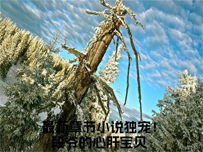独宠！段爷的心肝宝贝小说全文(温璃书段煜)免费阅读全文无弹窗大结局_ 温璃书段煜免费阅读无弹窗小说_笔趣阁