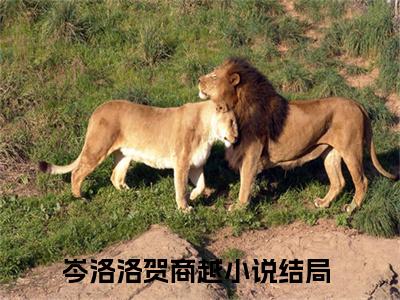 小说岑洛洛贺商越（岑洛洛贺商越）最新章节免费阅读-（岑洛洛贺商越）小说全文无删减版