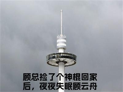 顾云舟鹿呦呦（顾总捡了个神棍回家后，夜夜失眠）全文免费阅读无弹窗大结局_顾总捡了个神棍回家后，夜夜失眠小说最新章节列表_笔趣阁