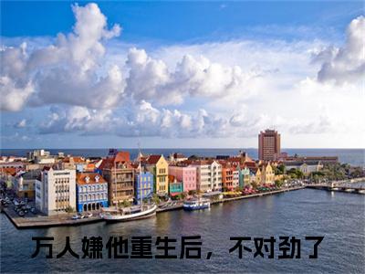 万人嫌他重生后，不对劲了（林汐叶骄）全文免费阅读无弹窗大结局_万人嫌他重生后，不对劲了林汐叶骄最新章节列表_笔趣阁