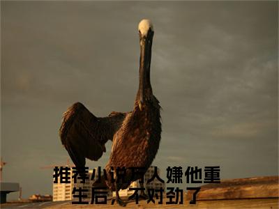 林汐叶骄（大结局小说全集完整版）万人嫌他重生后，不对劲了小说_林汐叶骄全文阅读笔趣阁