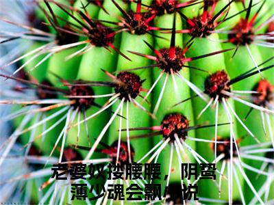薄烬延姜姒全文小说（老婆奴搂腰腰，阴鸷薄少魂会飘）全文阅读-薄烬延姜姒在线小说免费阅读