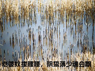老婆奴搂腰腰，阴鸷薄少魂会飘全文（薄烬延姜姒）全文免费阅读无弹窗大结局_薄烬延姜姒免费最新章节列表_笔趣阁