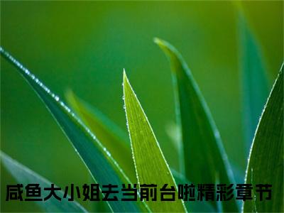 咸鱼大小姐去当前台啦小说免费阅读无弹窗《沈溯许满星》_沈溯许满星全文阅读咸鱼大小姐去当前台啦