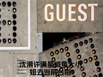 【新书】《咸鱼大小姐去当前台啦》全文免费阅读无弹窗大结局-沈溯许满星全文全章节免费阅读