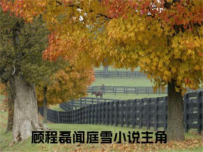 顾程磊闻庭雪全文免费阅读无弹窗大结局_（顾程磊闻庭雪在线阅读）顾程磊闻庭雪最新章节完整版阅读