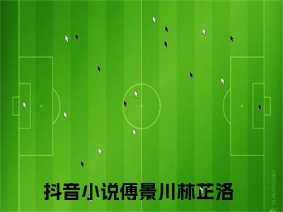 傅景川林芷洛（傅景川林芷洛全集无弹窗阅读）傅景川林芷洛已完结小说全集完整版大结局笔趣阁（傅景川林芷洛）最新章节列表_笔趣阁