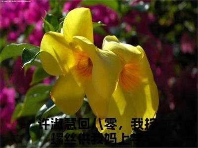 回八零，我拧螺丝供我妈上学（许淑慧）全文免费阅读无弹窗大结局_许淑慧小说最新章节列表_笔趣阁