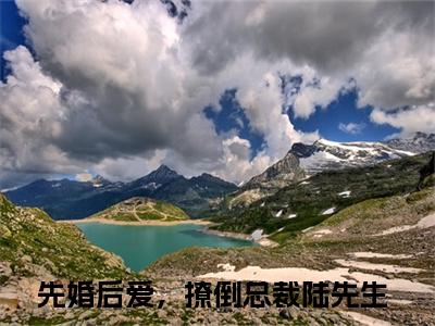 先婚后爱，撩倒总裁陆先生(苏沐陆谨深)全文免费阅读无弹窗大结局_ 先婚后爱，撩倒总裁陆先生免费阅读最新章节列表_笔趣阁