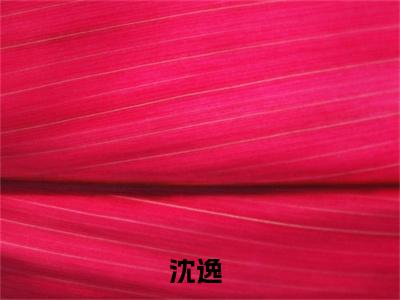 全民异能：你们的异能不对劲小说（沈逸）全文免费阅读无弹窗大结局_（全民异能：你们的异能不对劲）沈逸最新章节列表（沈逸）