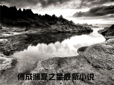(傅成渊夏之星)傅成渊夏之星小说免费傅成渊夏之星读无弹窗最新章节列表_笔趣阁（傅成渊夏之星）