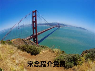宋念程介（完整版）热文小说阅读-宋念程介全文抖音热推