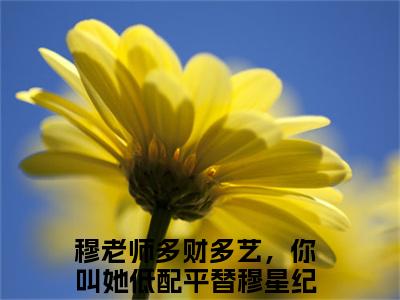 穆星纪琛全文免费阅读大结局-（穆老师多财多艺，你叫她低配平替）最新章节列表在线阅读