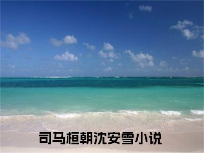 司马桓朝沈安雪(司马桓朝沈安雪)全文免费阅读_司马桓朝沈安雪（司马桓朝沈安雪在线小说免费阅读）全文阅读