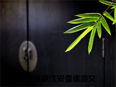 司马桓朝沈安雪免费司马桓朝沈安雪读无弹窗最新章节列表_笔趣阁（司马桓朝沈安雪）