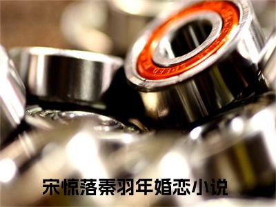 宋惊落秦羽年抖音新书热荐宋惊落秦羽年-宋惊落秦羽年最新小说全文阅读