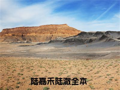 陆嘉禾陆澈（陆嘉禾陆澈）小说结局-陆嘉禾陆澈全文无弹窗阅读