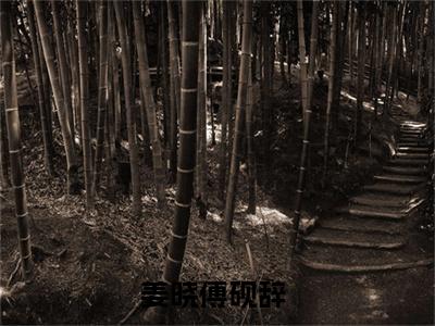 姜晓傅砚辞（姜晓傅砚辞）小说免费在线阅读_姜晓傅砚辞全本免费小说阅读大结局（姜晓傅砚辞）