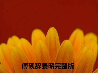 傅砚辞姜晓（傅砚辞姜晓）全文免费阅读无弹窗大结局_傅砚辞姜晓全文阅读_笔趣阁（傅砚辞姜晓）