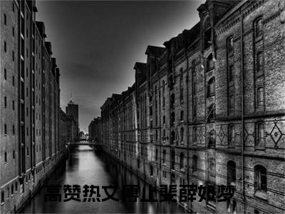 傅止斐薛如梦在线阅读（傅止斐薛如梦）全文无弹窗大结局_傅止斐薛如梦全文在线阅读无弹窗