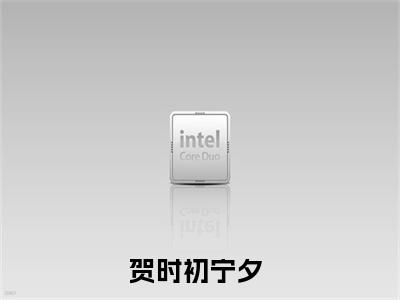 小说名字是：我怎么输得起小说免费阅读无弹窗,小说名字是：贺时初宁夕的小说在线阅读无删减