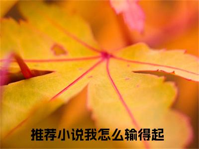 贺时初宁夕全本资源免费阅读结局无删节-我怎么输得起小说全文阅读无弹窗（贺时初宁夕）