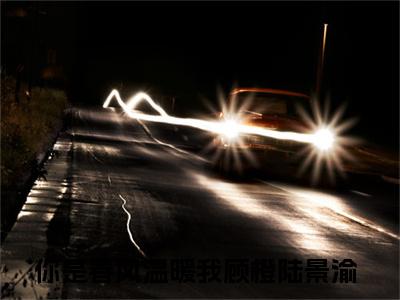 你是春风温暖我全文免费阅读（顾橙陆景渝小说）全文免费阅读无弹窗大结局_（你是春风温暖我全文免费阅读无弹窗）顾橙陆景渝小说最新章节列表_笔趣阁（你是春风温暖我）