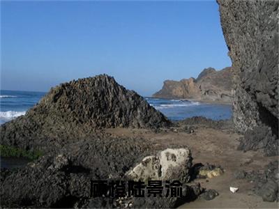 你是春风温暖我(顾橙陆景渝小说)全文免费阅读无弹窗大结局_顾橙陆景渝小说免费阅读最新章节列表_笔趣阁（你是春风温暖我小说）