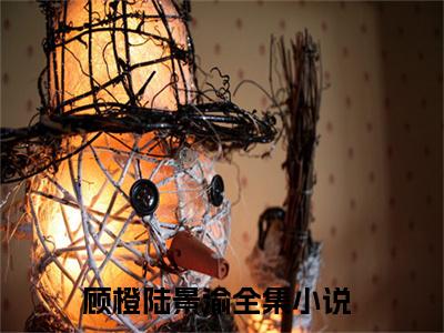 你是春风温暖我快手小说（顾橙陆景渝）txt阅读大结局-抖音近期热门你是春风温暖我全文免费