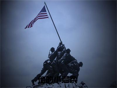 他的小温柔全本资源（夏青齐觉）全文免费阅读无弹窗大结局_夏青齐觉最新章节列表（他的小温柔）