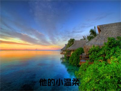 夏青齐觉小说（他的小温柔）全文免费阅读_（夏青齐觉小说）他的小温柔小说精彩在线赏析