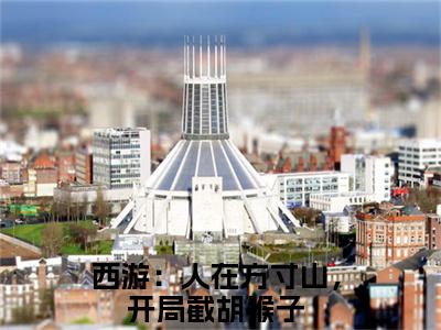 叶云免费小说-西游：人在方寸山，开局截胡猴子小说完整版阅读