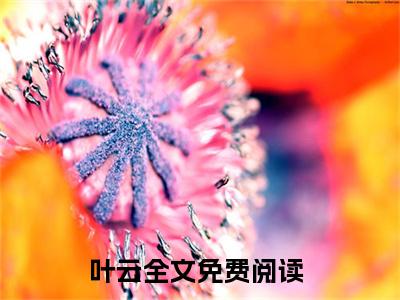 西游：人在方寸山，开局截胡猴子（叶云）小说免费无弹窗大结局-西游：人在方寸山，开局截胡猴子小说全文完整版阅读