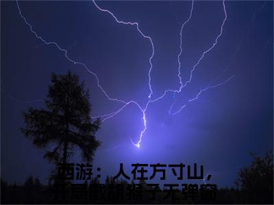 西游：人在方寸山，开局截胡猴子全文小说（叶云）-完整版小说叶云（西游：人在方寸山，开局截胡猴子）热文免费阅读