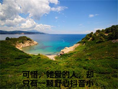 可惜，她爱的人，却只有一颗野心全集小说（许清梨纪北陆）全文免费阅读无弹窗大结局_可惜，她爱的人，却只有一颗野心最新章节列表_笔趣阁（许清梨纪北陆）