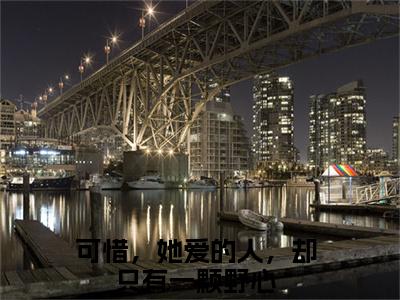 可惜，她爱的人，却只有一颗野心（许清梨纪北陆）免费阅读无弹窗大结局_可惜，她爱的人，却只有一颗野心小说（许清梨纪北陆）免费阅读最新章节列表（许清梨纪北陆）