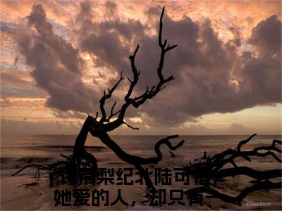 许清梨纪北陆(可惜，她爱的人，却只有一颗野心)全文阅读无弹窗大结局_许清梨纪北陆免费阅读无弹窗最新章节列表
