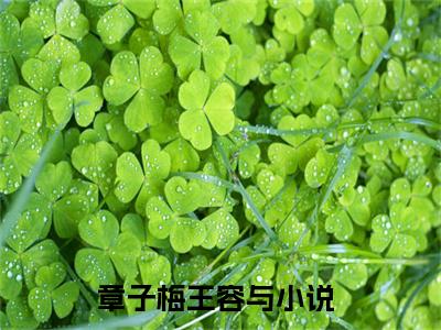 章子梅王容与全文免费阅读无弹窗大结局_章子梅王容与免费阅读最新章节列表_笔趣阁（章子梅王容与）