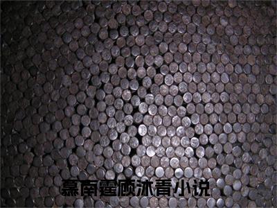 慕南霆顾沐青全文免费阅读无弹窗大结局_ （慕南霆顾沐青完结）慕南霆顾沐青小说最新章节列表