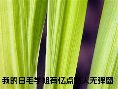 我的白毛学姐有亿点黏人（江年）全文免费阅读无弹窗大结局_江年最新章节列表笔趣阁